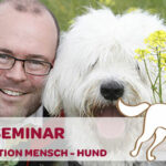 Kommunikation Mensch  Hund