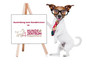 Ausbildung zum Hundetrainer im Hundezentrum Kuppenheim