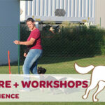 Rally Obedience Workshop