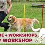 Agility Workshop