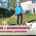 Workshop Koerpersprachliches Longieren