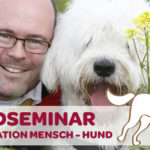 Kommunikation Mensch  Hund