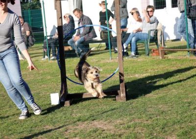 Agility Funturnier 2018