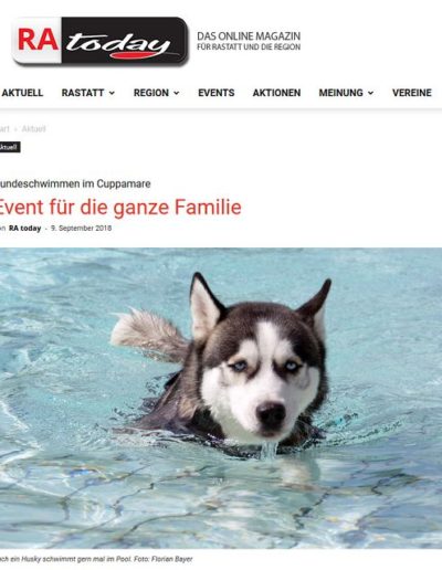 Schwimmender Hund